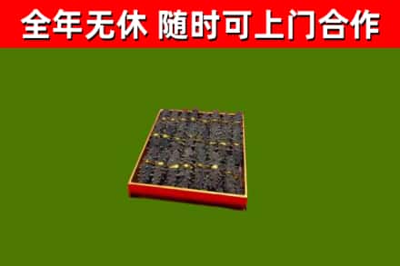 汕头回收海参
